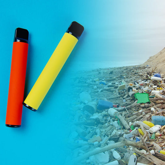 Disposable Vapes - The tide seems to be changing - Disposable Vape Ban ? - Manabush Eliquid