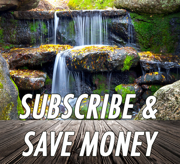 Subscribe to the Manabush newsletter to save money!